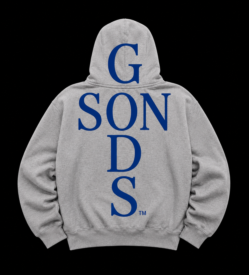 Embroidered Hoodie (GREY)