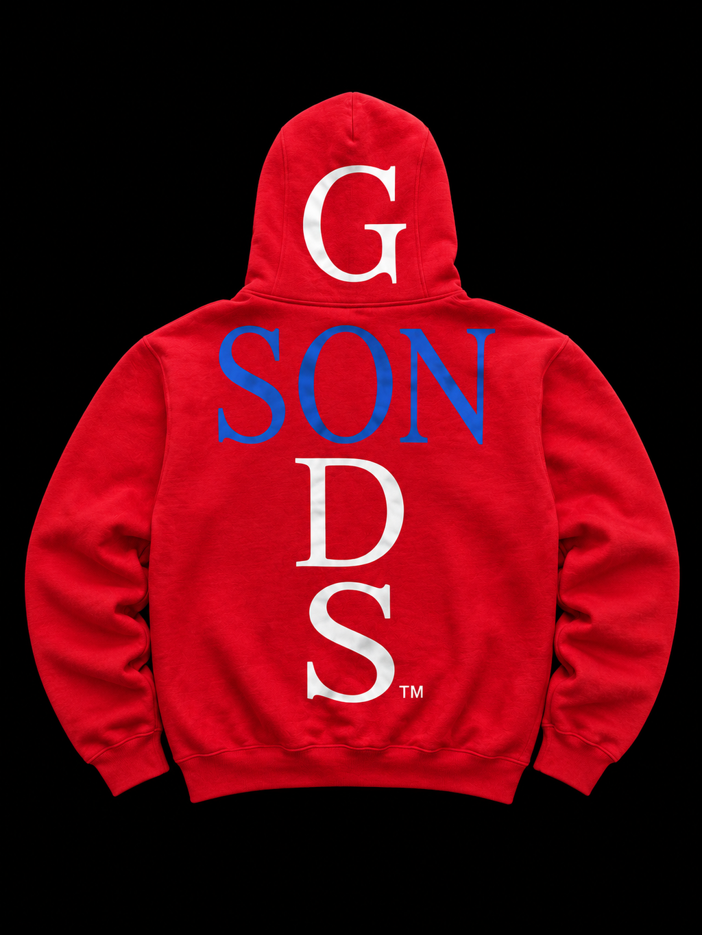 Vinyl Hoodie (RED)